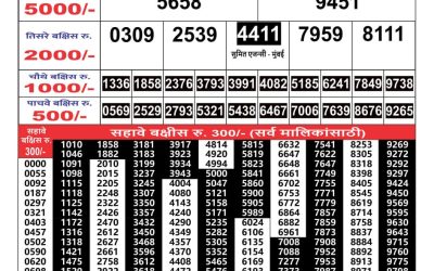 Maharashtra Gaj Laxmi Result 20/6/24