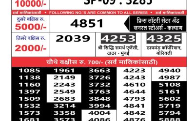 Maharashtra Sahyadri lottery Result today 17.08.24