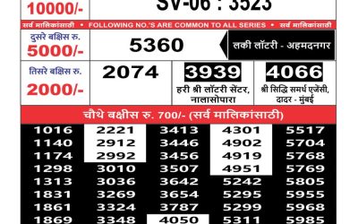 Maharashtra Sahyadri lottery Result today 21.08.24