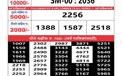 Maharashtra Sahyadri weekly lottery result 17.09.24