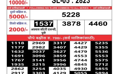 Maharashtra Sahyadri weekly lottery result 9.09.24