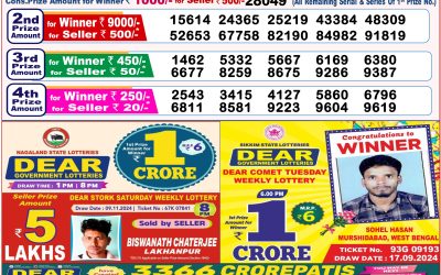 Dear Lottery 8PM Result 20.11.24