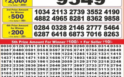 Punjab state dear10 lottery 6pm result 16.11.24