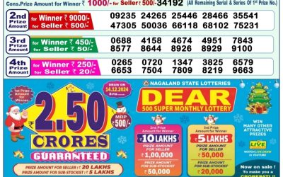 Dear lottery 1pm result 17.11.24