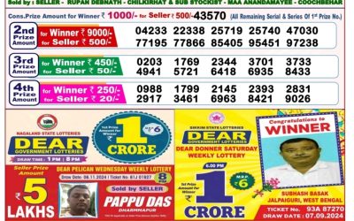 Dear lottery 8pm result 17.11.24