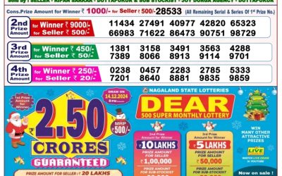 Dear lottery 8pm result 18.11.24