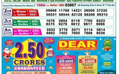 Dear lottery 1pm result 19.11.24