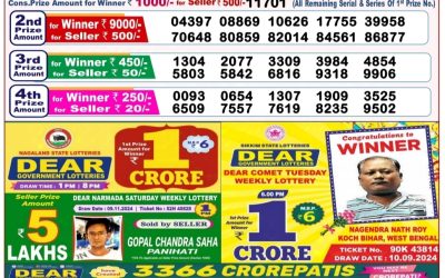 Dear lottery 8pm result 19.11.24