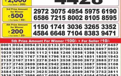 Punjab state dear 10 lottery 6pm result 20.11.24