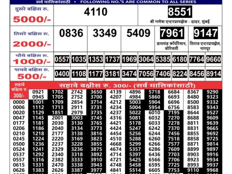 Everest Result Today Dear Lottery Chart