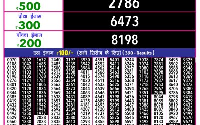 Rajshree 10 evening lottery 5.40pm result 21.1.25