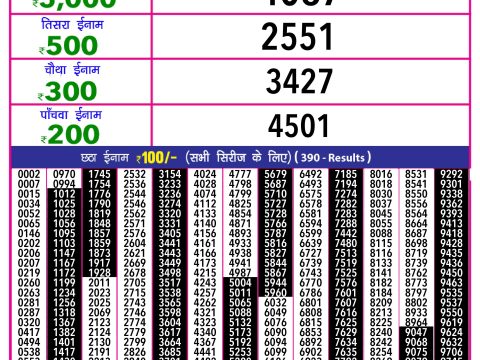 Everest Result Today Dear Lottery Chart