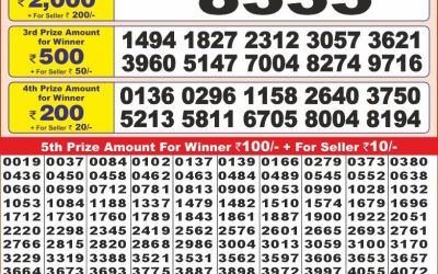 Punjab state dear10 lottery result 9.2.25