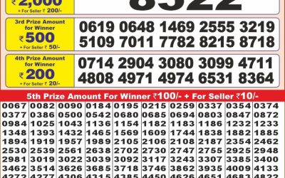 Punjab state dear10 lottery result 16.2.25