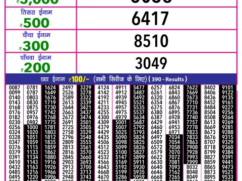 Everest Result Today Dear Lottery Chart