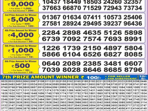 Dear 100 lottery 5pm result 11.3.25 Check Here