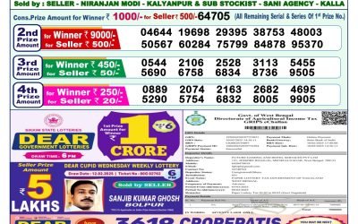 Dear lottery 1pm result 3.3.25
